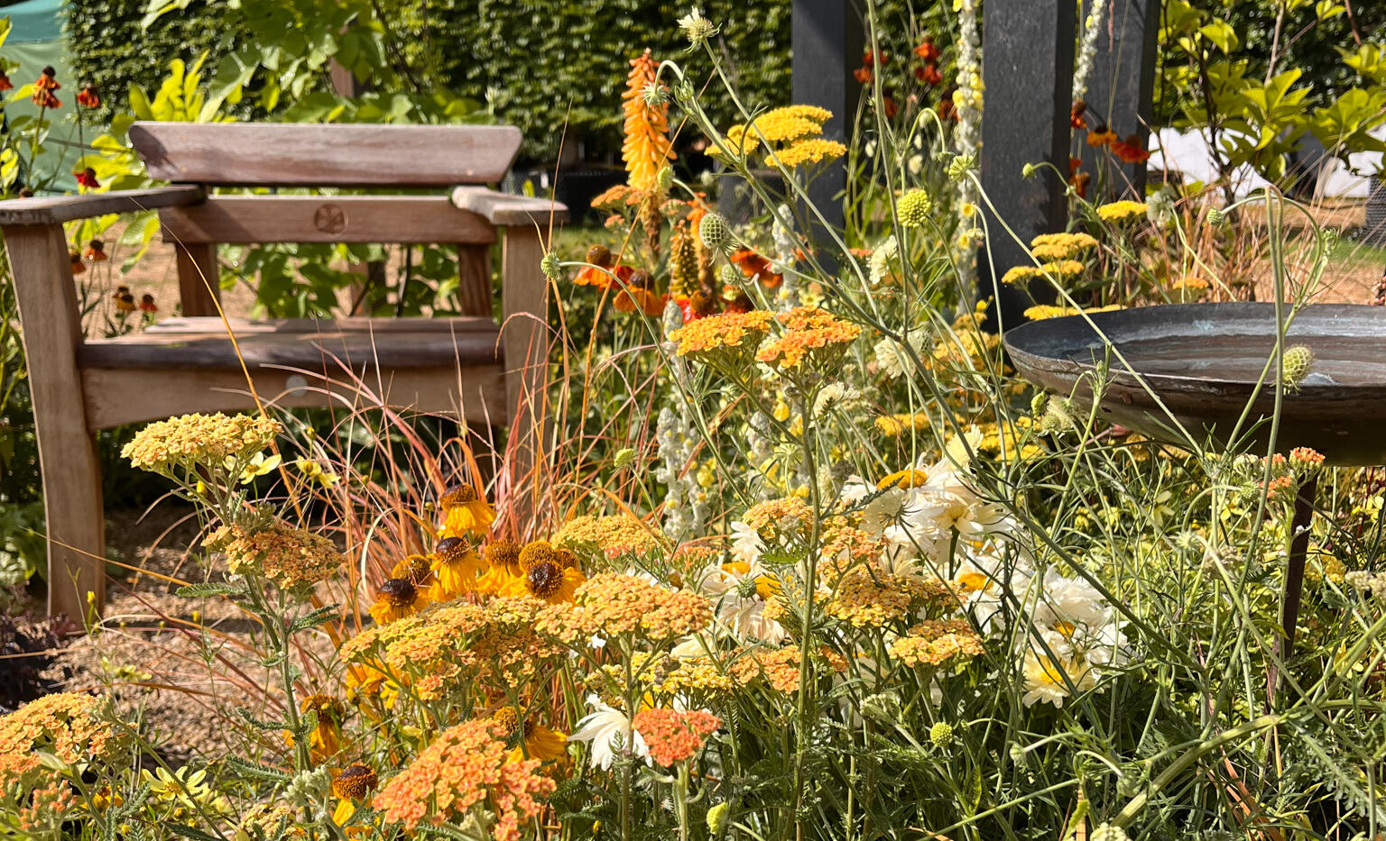 Golden Garden